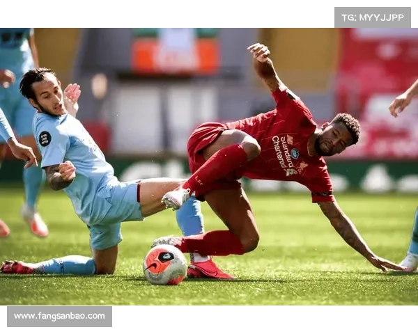 阿维斯今日赛事焦点追踪实时报道预测与精彩看点